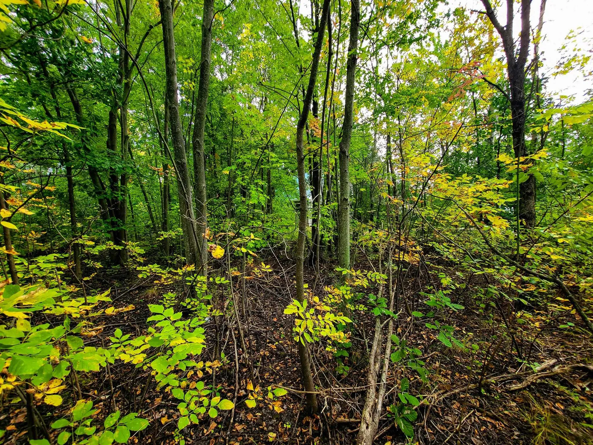 5 Lightning Road Grand Isle VT 05458