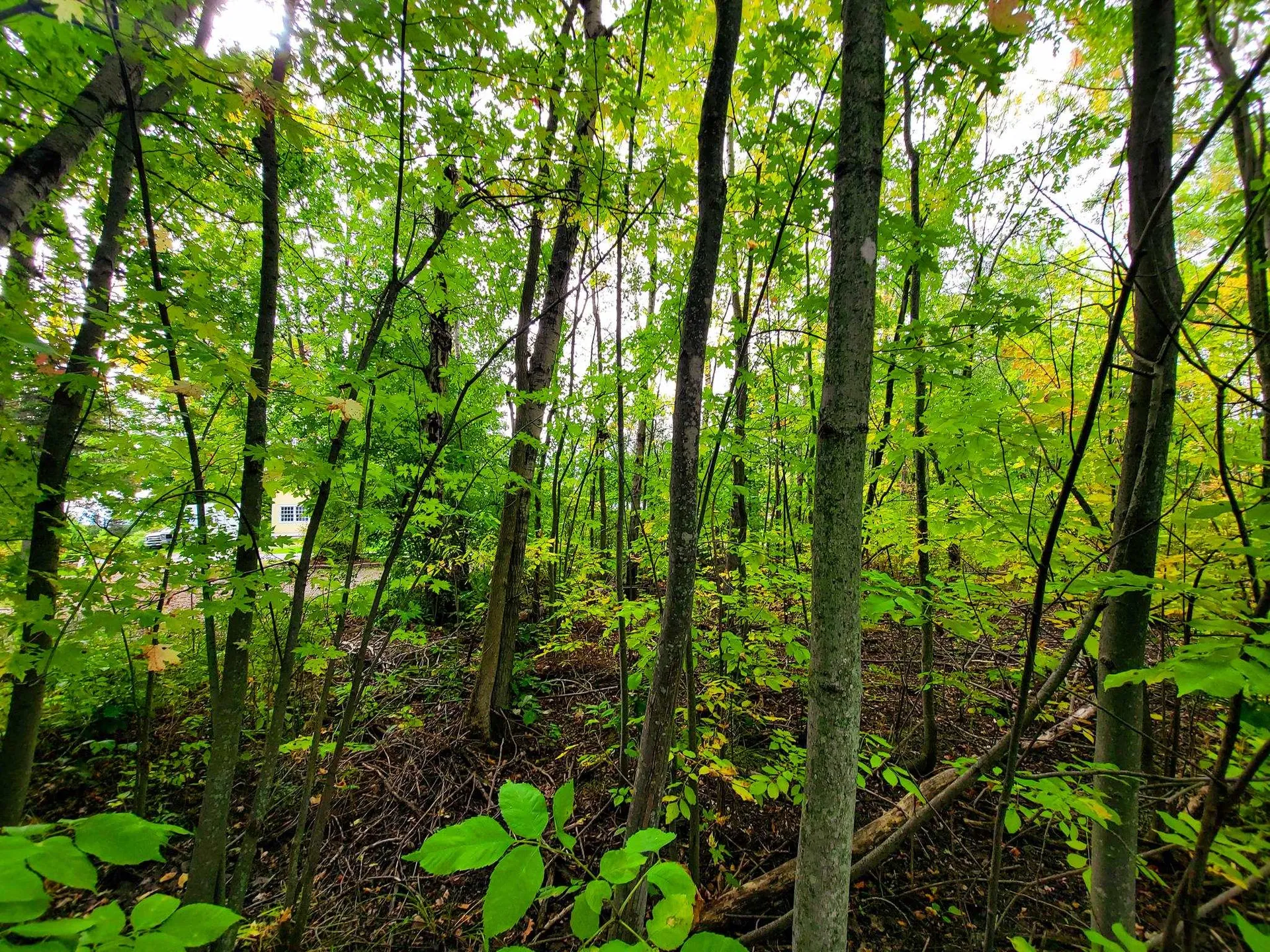 5 Lightning Road Grand Isle VT 05458