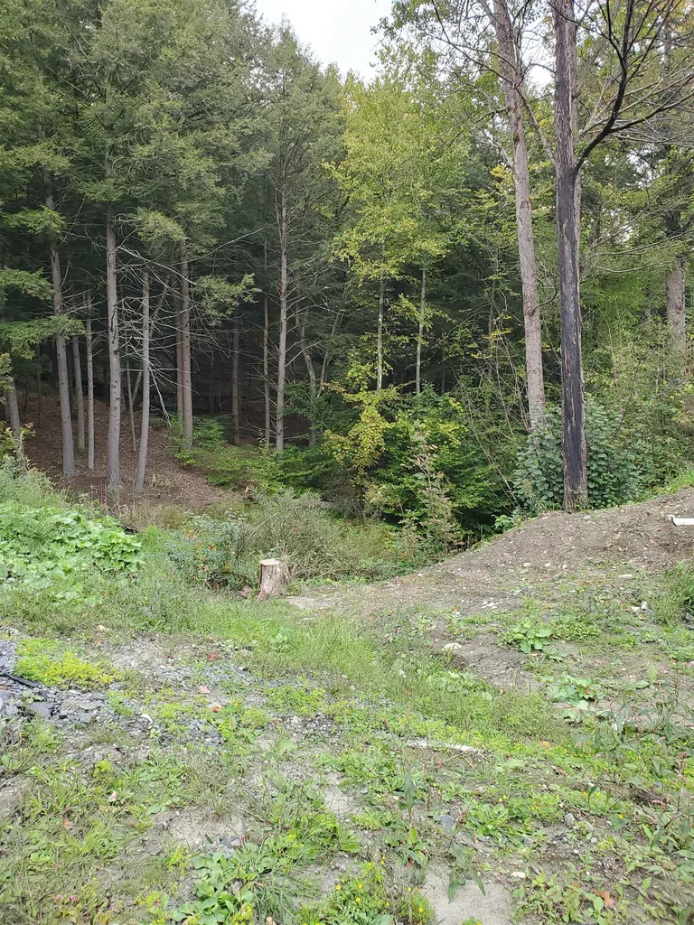 1060 Davidson Hill Road Westminster VT 05158