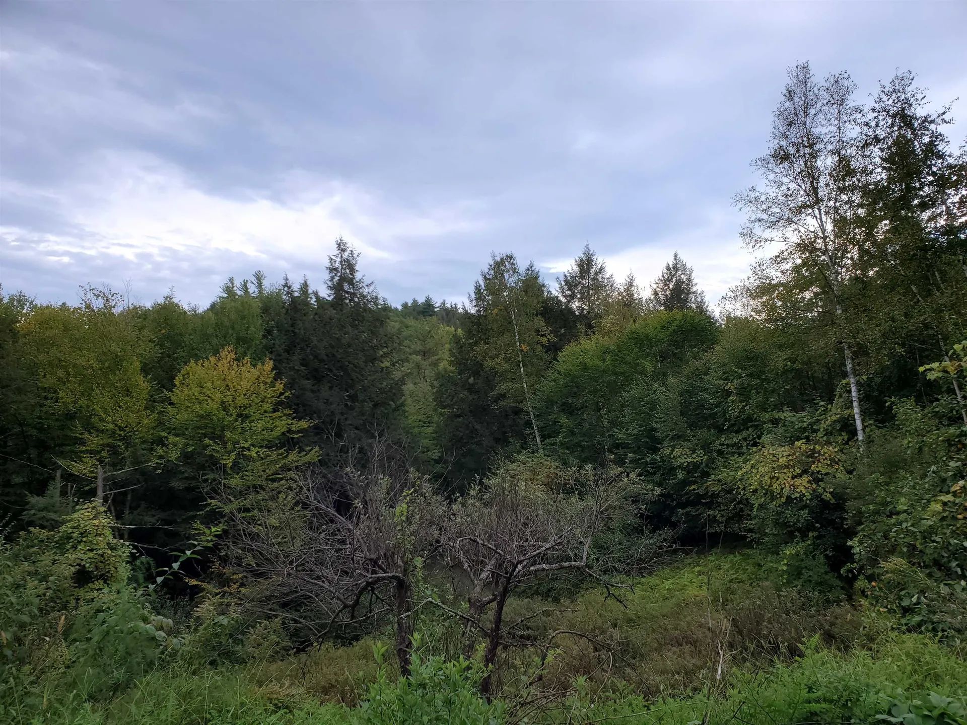 1060 Davidson Hill Road Westminster VT 05158