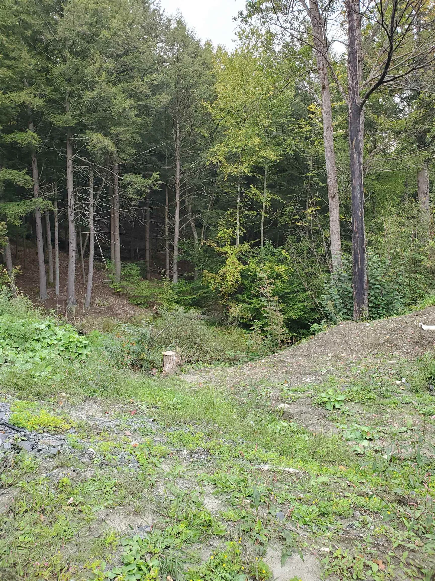 1060 Davidson Hill Road Westminster VT 05158