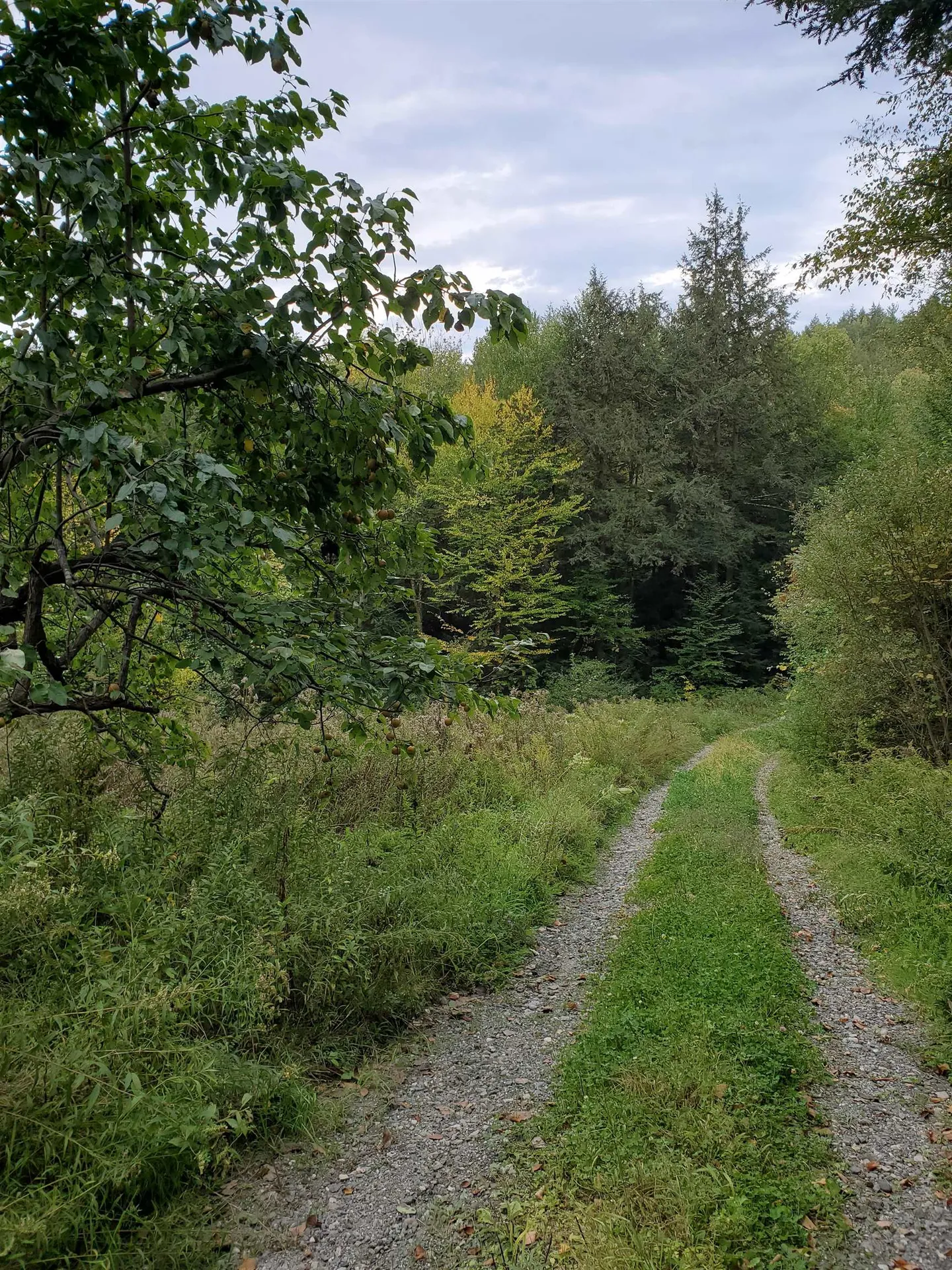 1060 Davidson Hill Road Westminster VT 05158