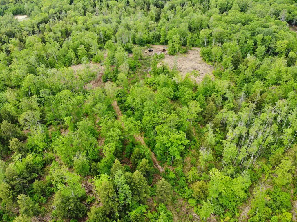 54 Poplar Road Sanbornton NH 03269