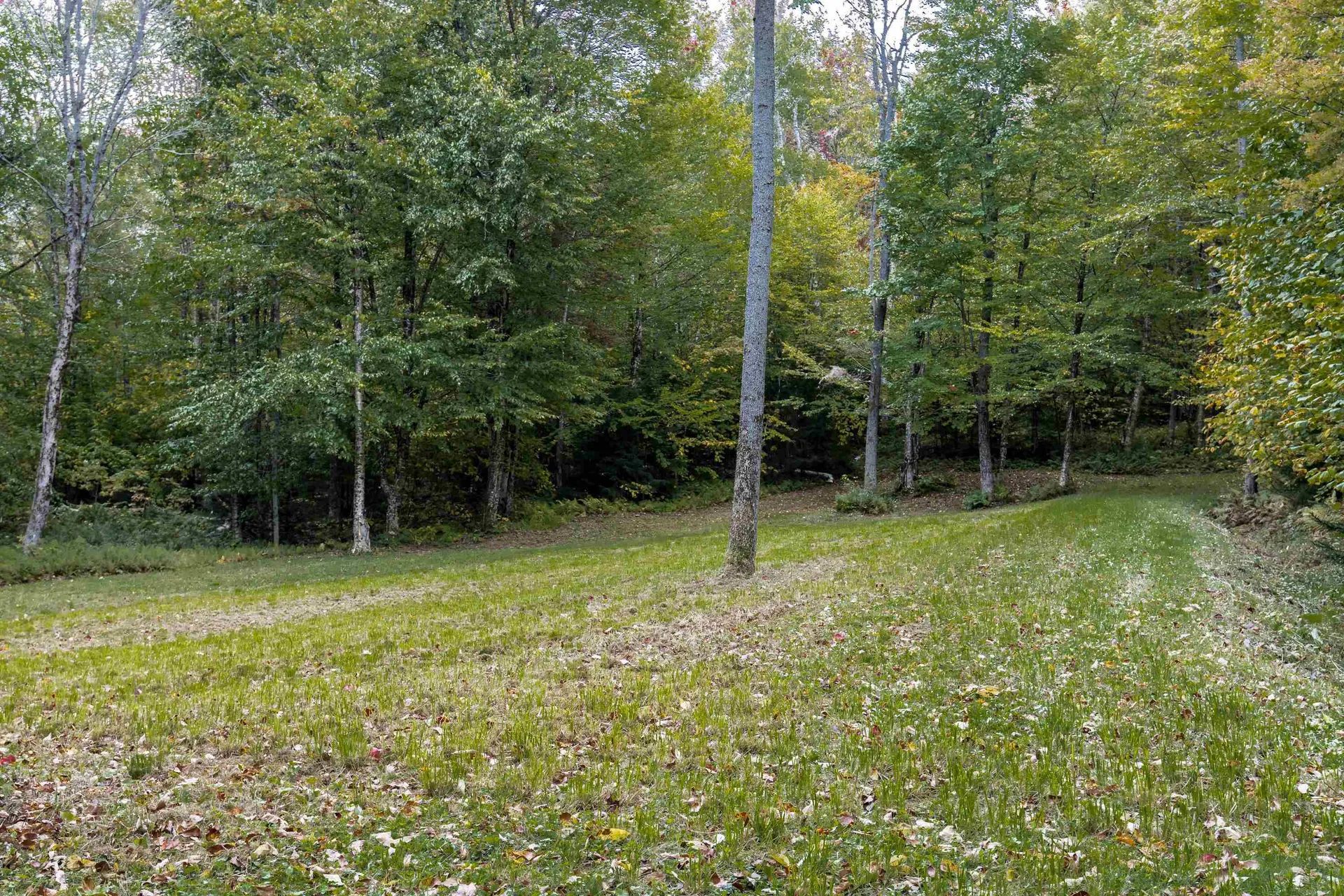 00 Williamstown Road Chelsea VT 05038