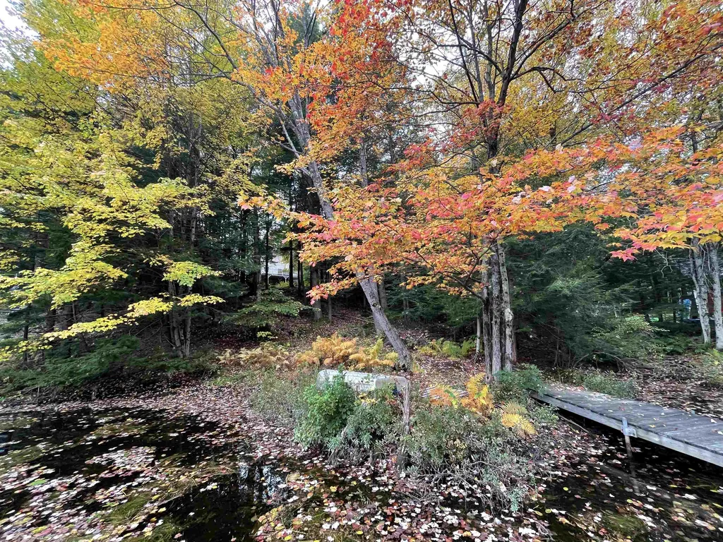 568 Whitney Road Stoddard NH 03464