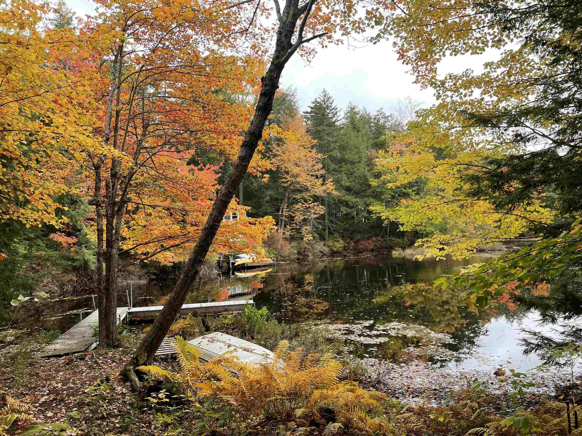 568 Whitney Road Stoddard NH 03464