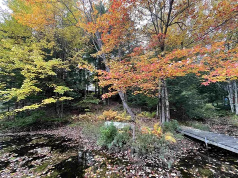 568 Whitney Road Stoddard NH 03464