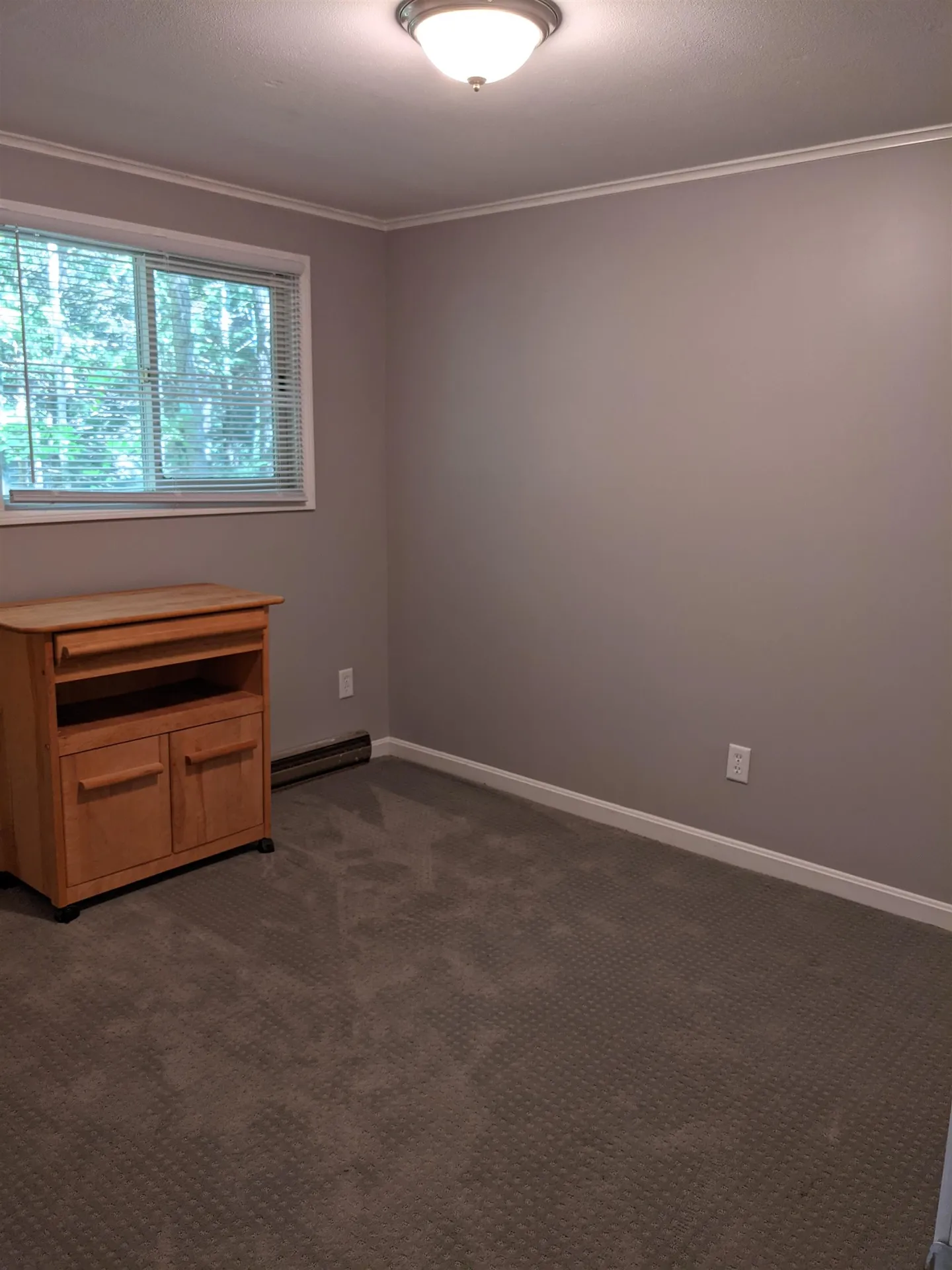 492 Deer Meadow Road Webster NH 03303