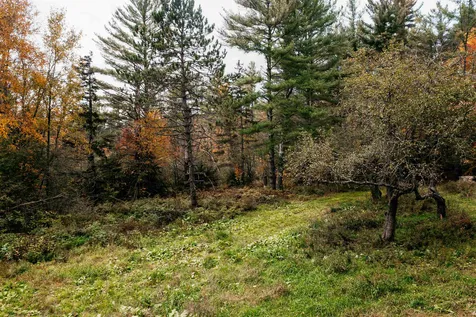3418 Mountain Road Stowe VT 05672