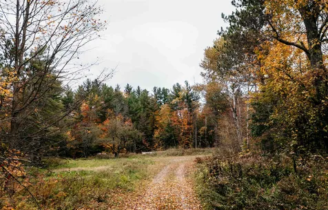 3418 Mountain Road Stowe VT 05672