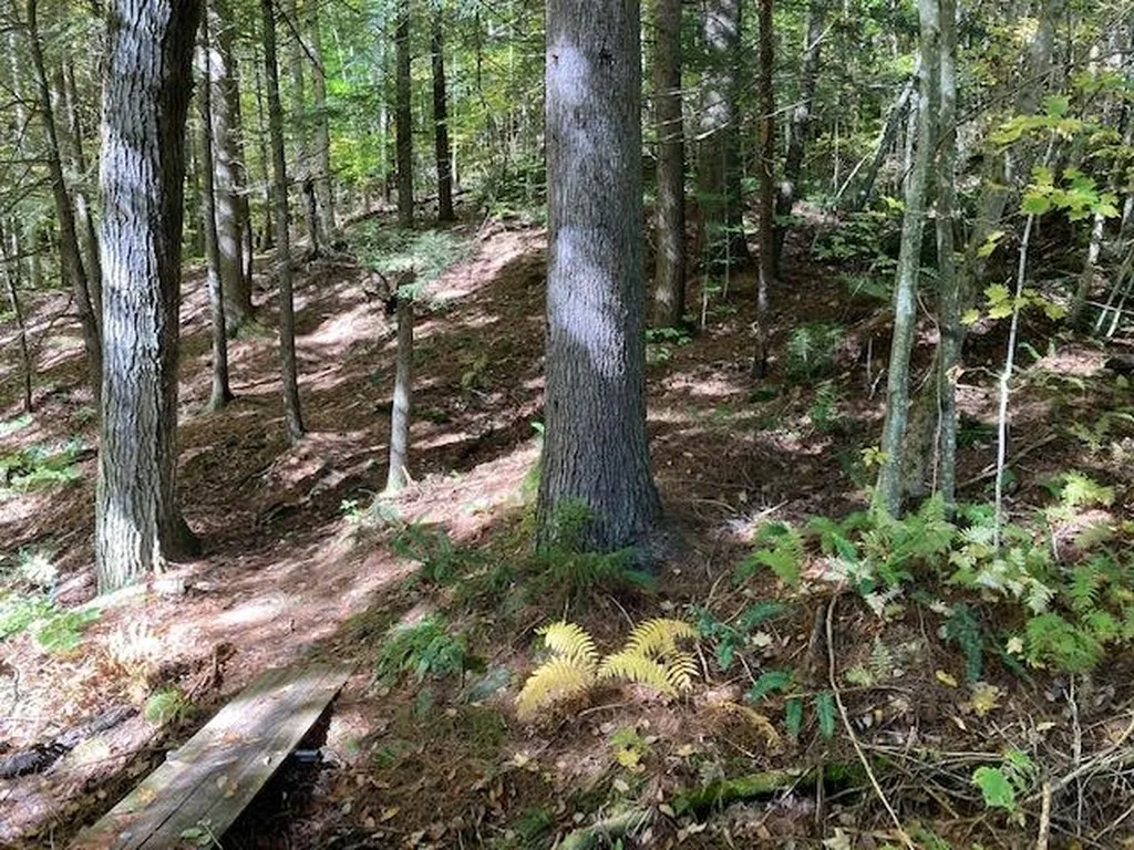 956 Butternut Hill Road Waitsfield VT 05673