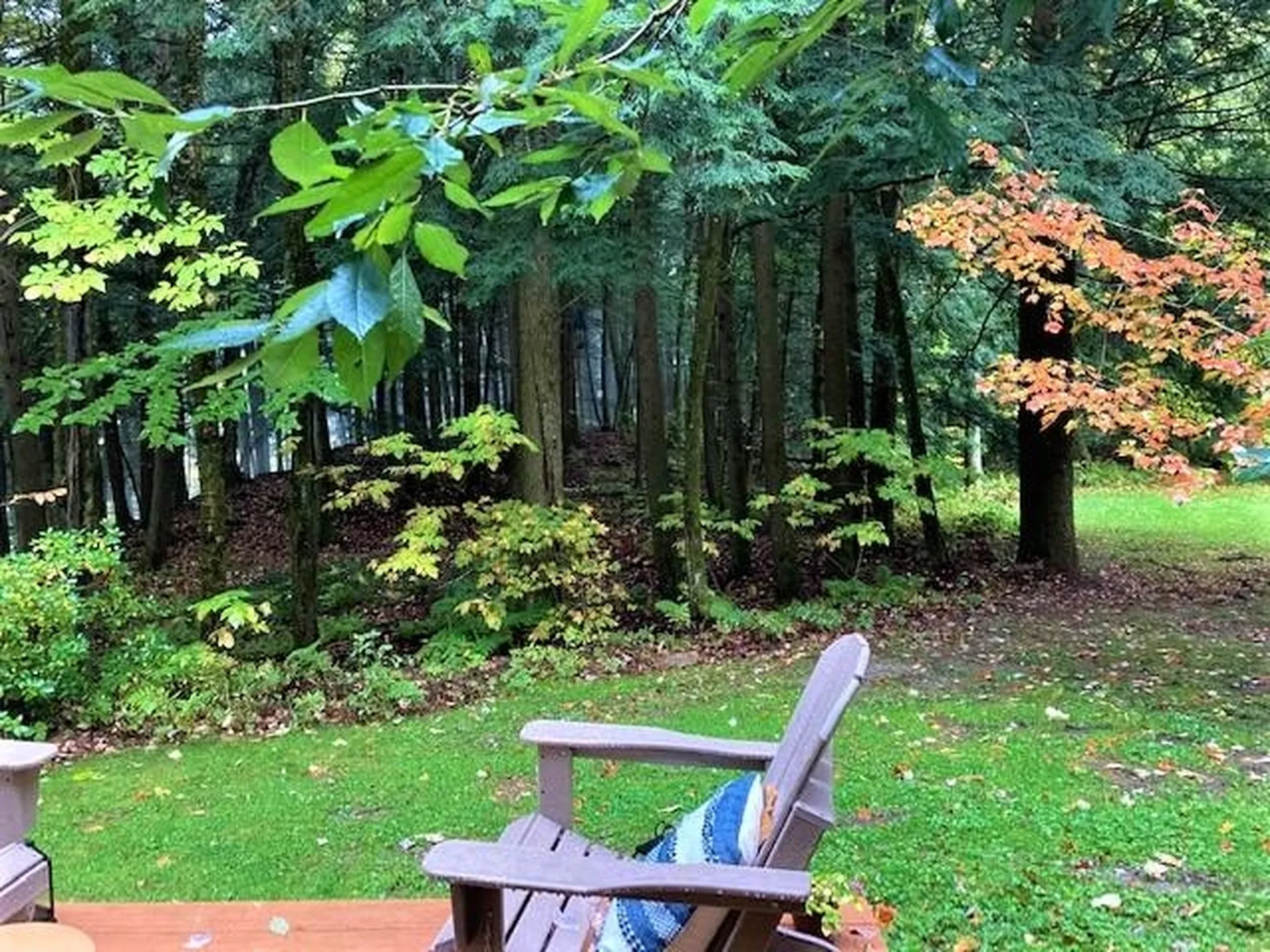 956 Butternut Hill Road Waitsfield VT 05673