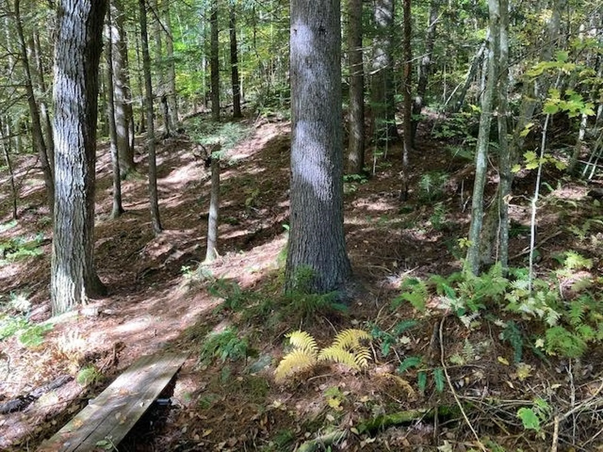 956 Butternut Hill Road Waitsfield VT 05673