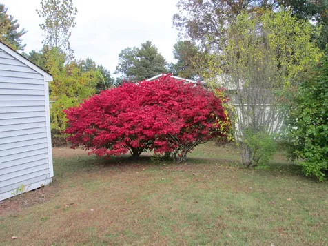 80 Birchwood Drive Hollis NH 03049
