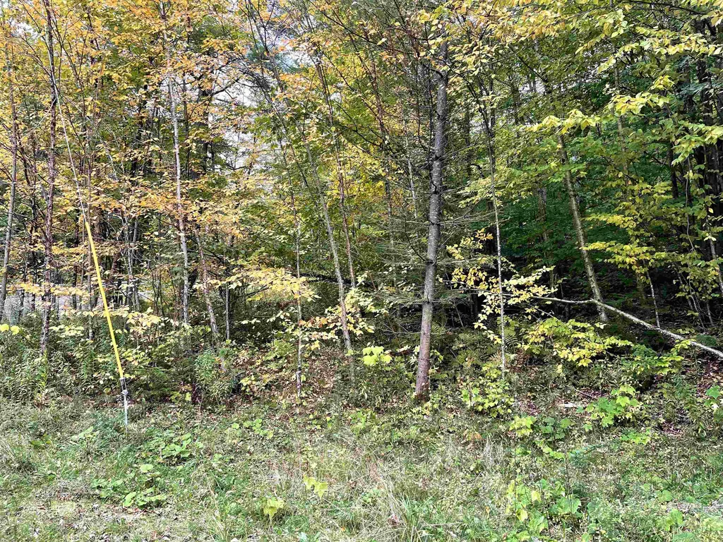 4905 Big Hollow Road Starksboro VT 05487