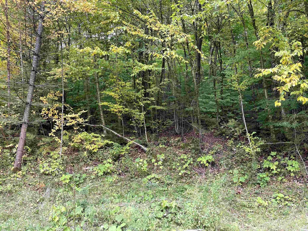 4905 Big Hollow Road Starksboro VT 05487