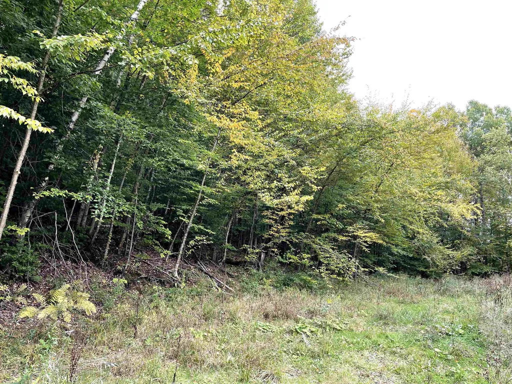 4905 Big Hollow Road Starksboro VT 05487