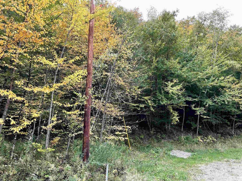 4905 Big Hollow Road Starksboro VT 05487