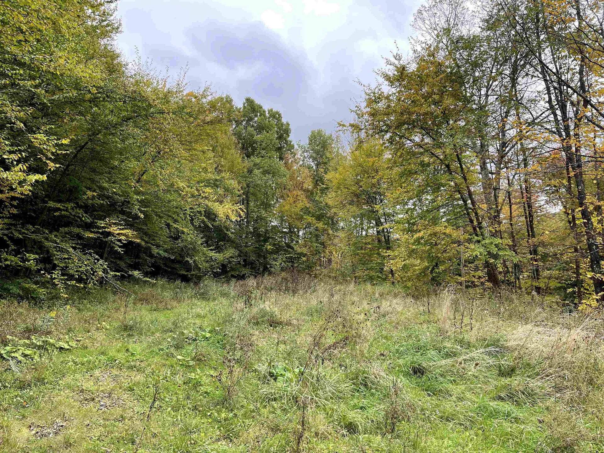 4905 Big Hollow Road Starksboro VT 05487