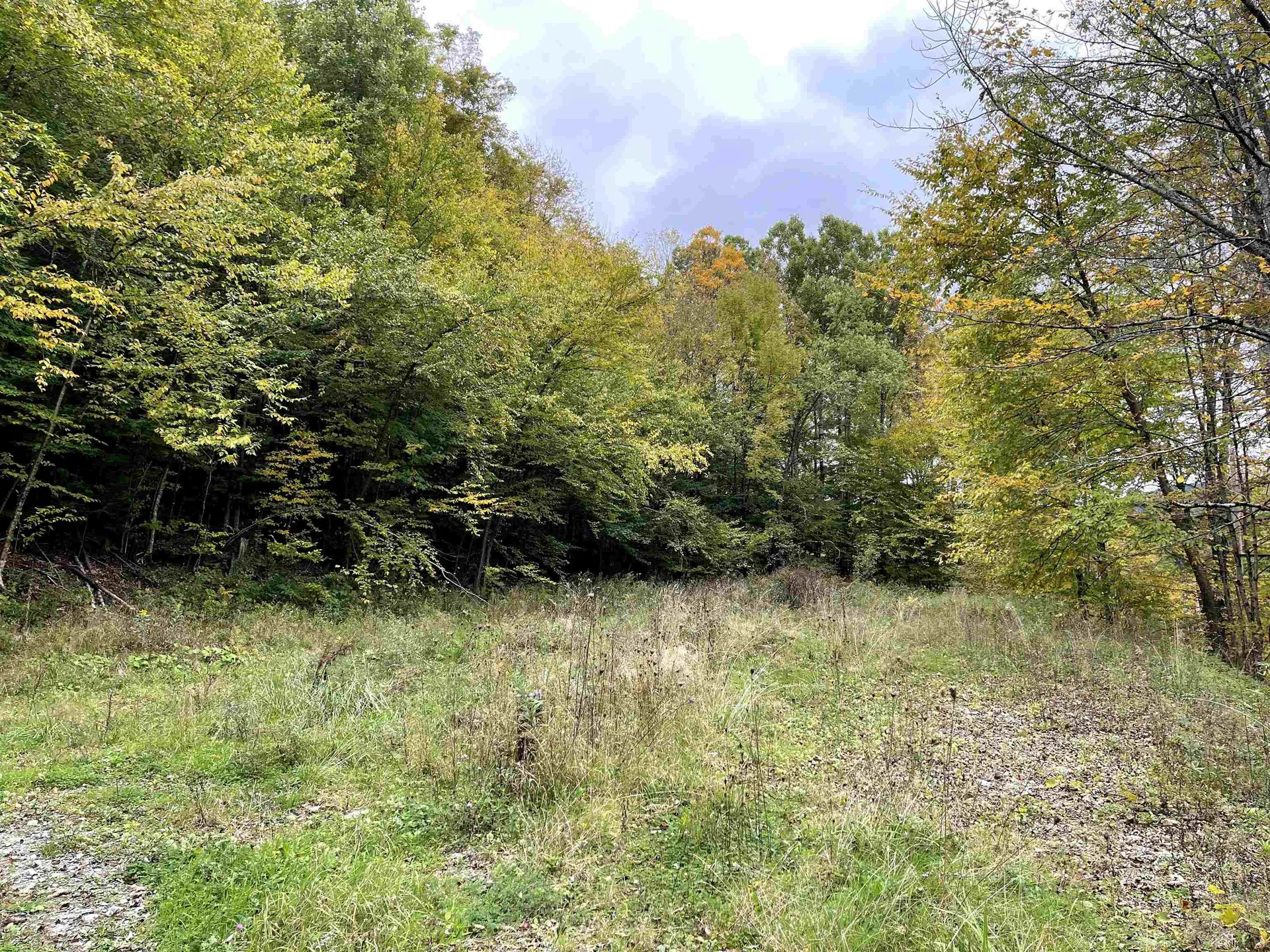 4905 Big Hollow Road Starksboro VT 05487