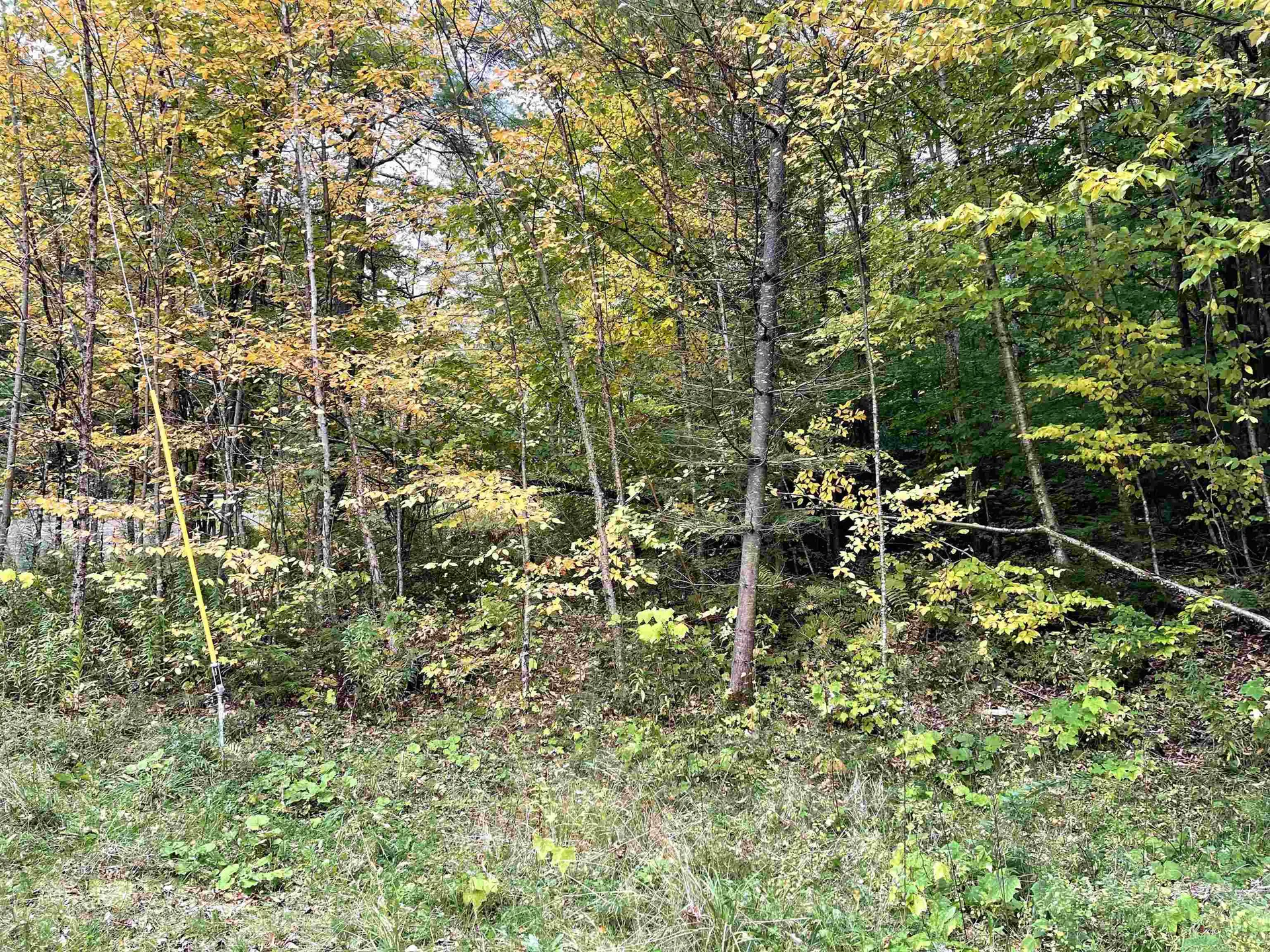 4905 Big Hollow Road Starksboro VT 05487