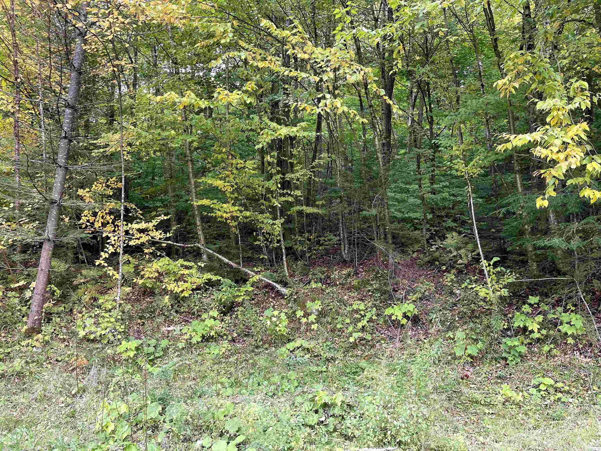 4905 Big Hollow Road Starksboro VT 05487