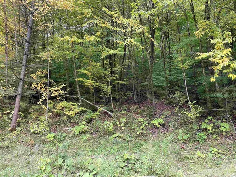 4905 Big Hollow Road Starksboro VT 05487