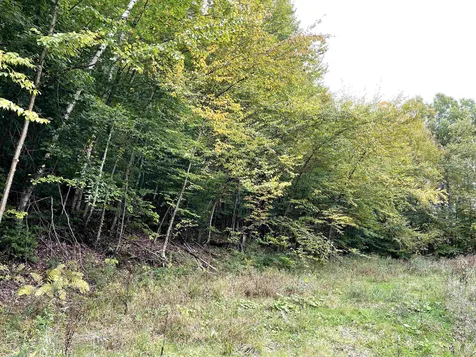 4905 Big Hollow Road Starksboro VT 05487