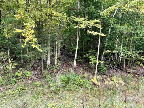 4905 Big Hollow Road Starksboro VT 05487