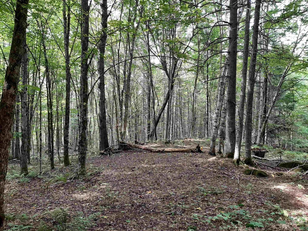- Cedar Lane Stewartstown NH 03597