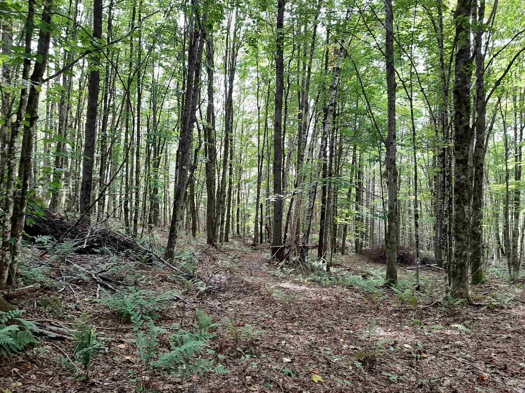 - Cedar Lane Stewartstown NH 03597