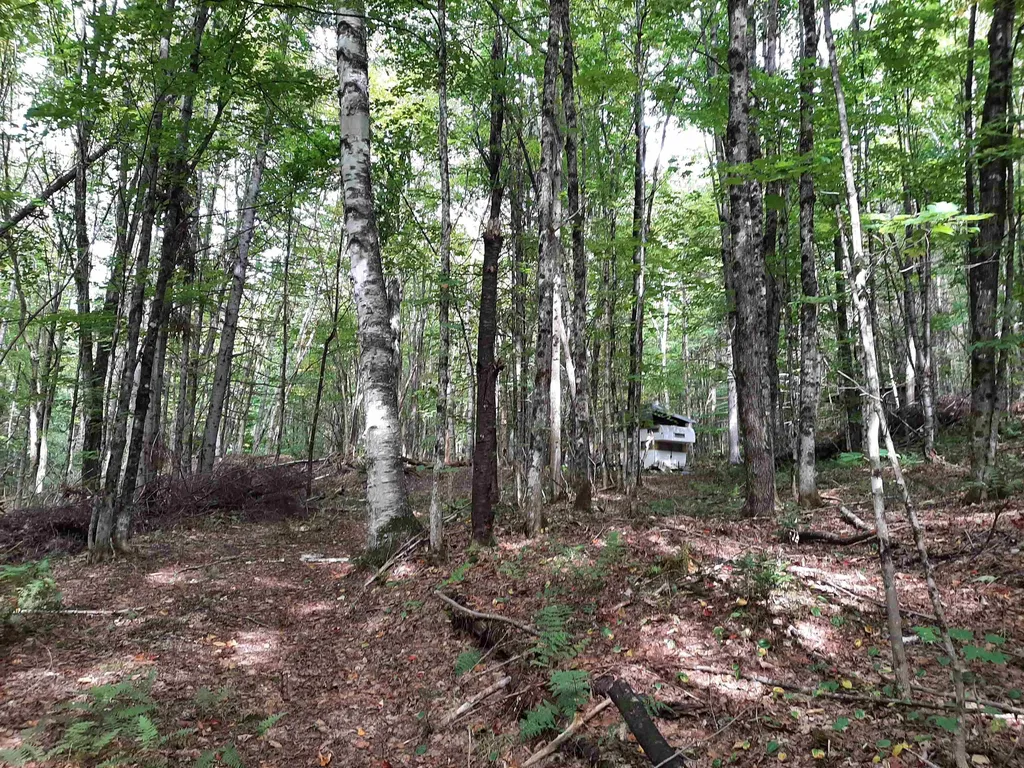 - Cedar Lane Stewartstown NH 03597