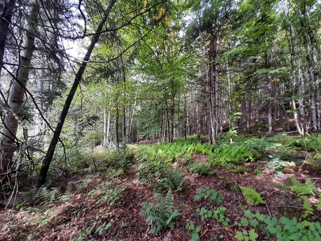 - Cedar Lane Stewartstown NH 03597