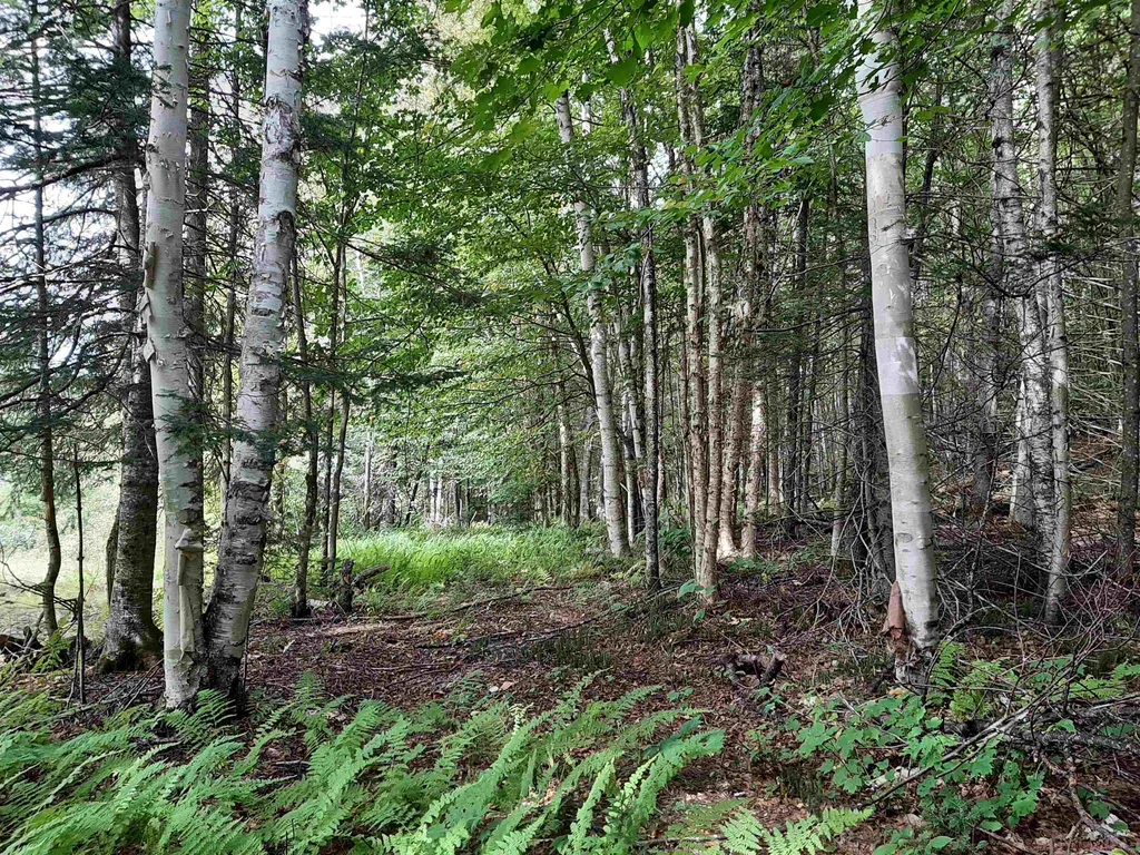 - Cedar Lane Stewartstown NH 03597