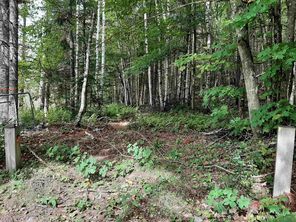 - Cedar Lane Stewartstown NH 03597