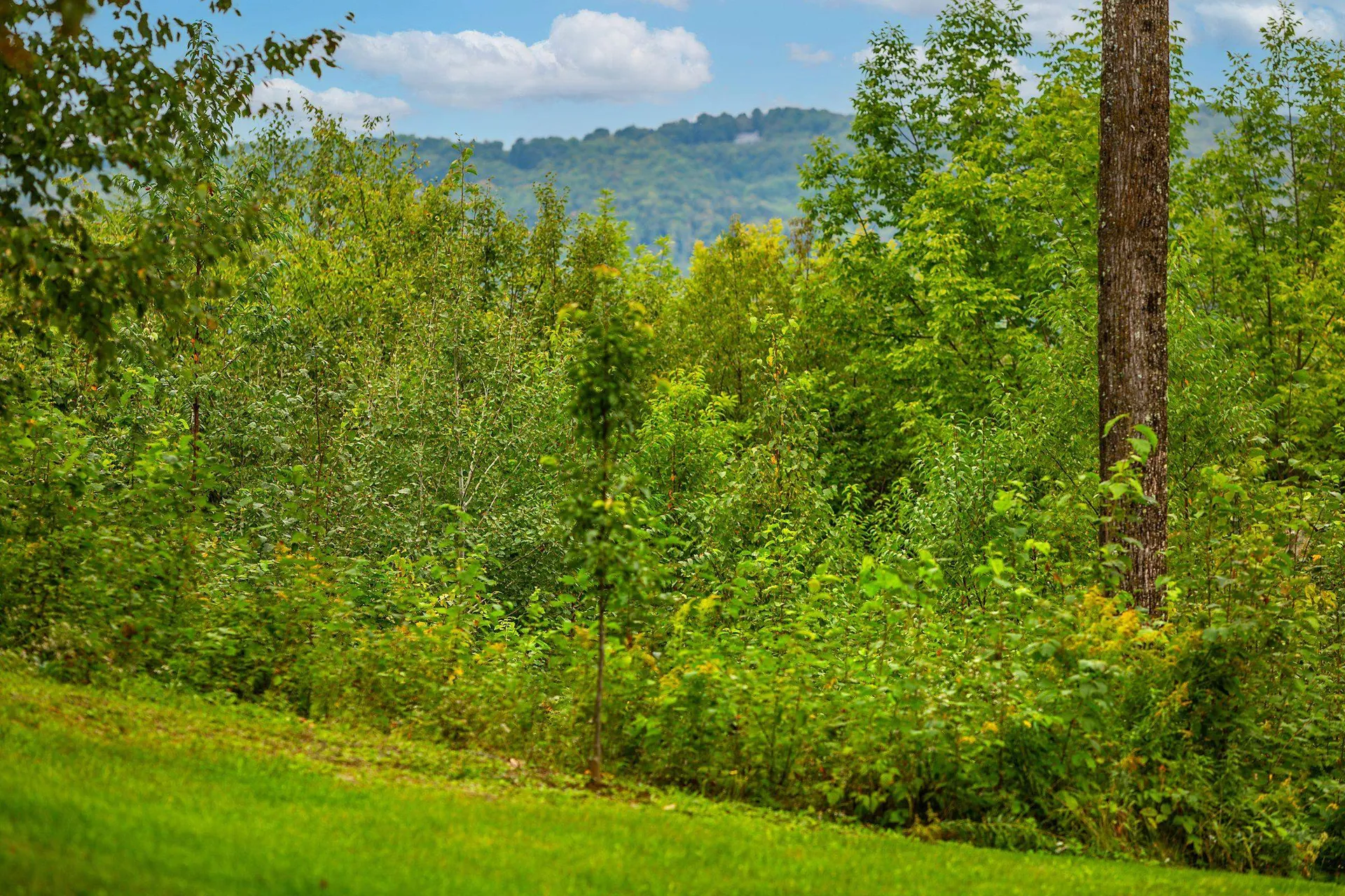 538 Skyline Drive Pomfret VT 05067
