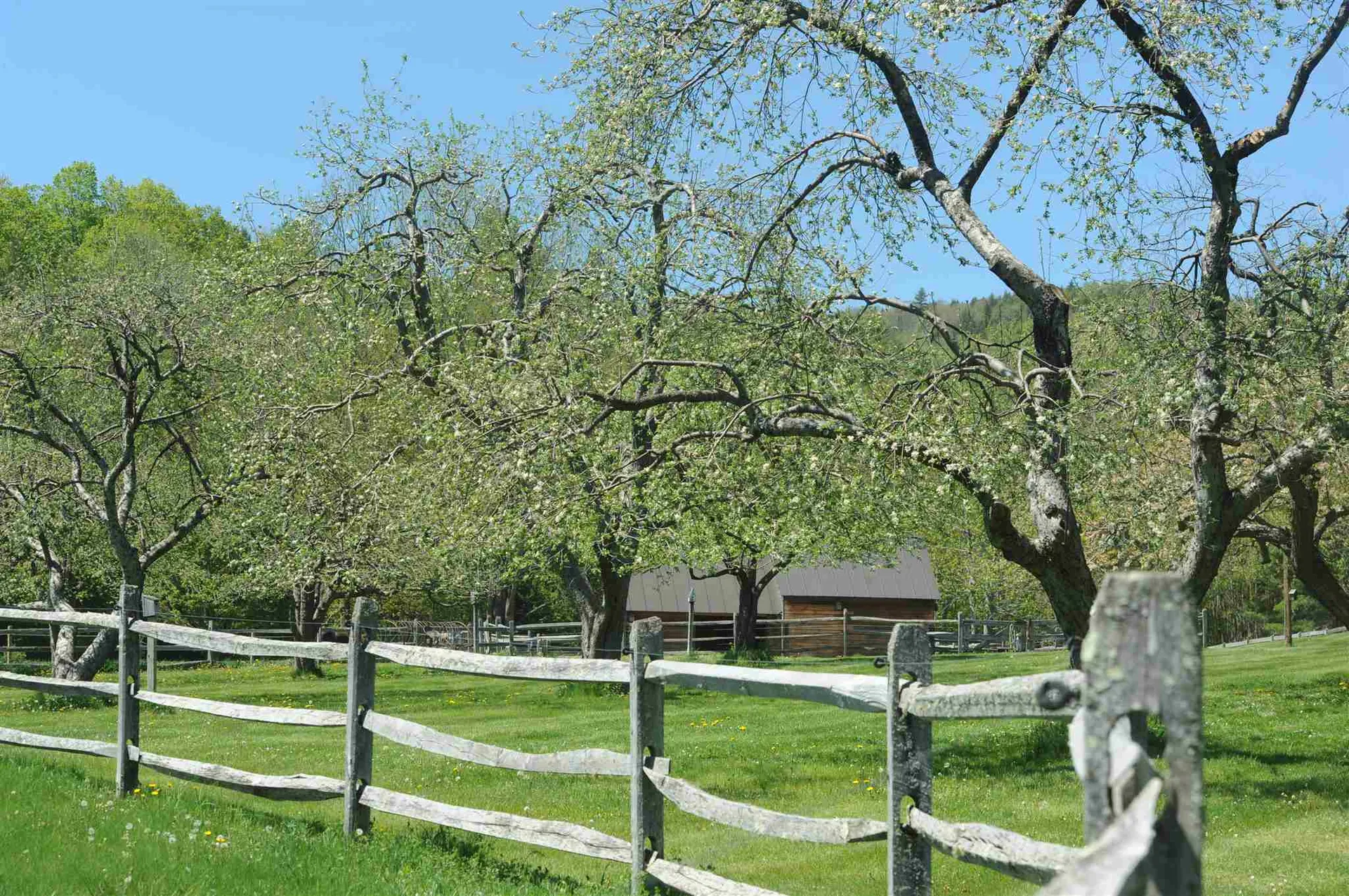 217 Echo Ledge Road Woodstock VT 05091