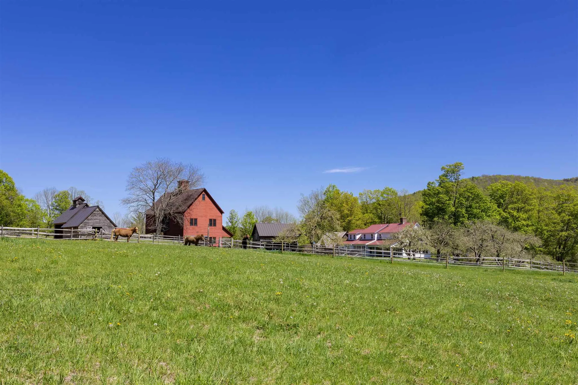 217 Echo Ledge Road Woodstock VT 05091
