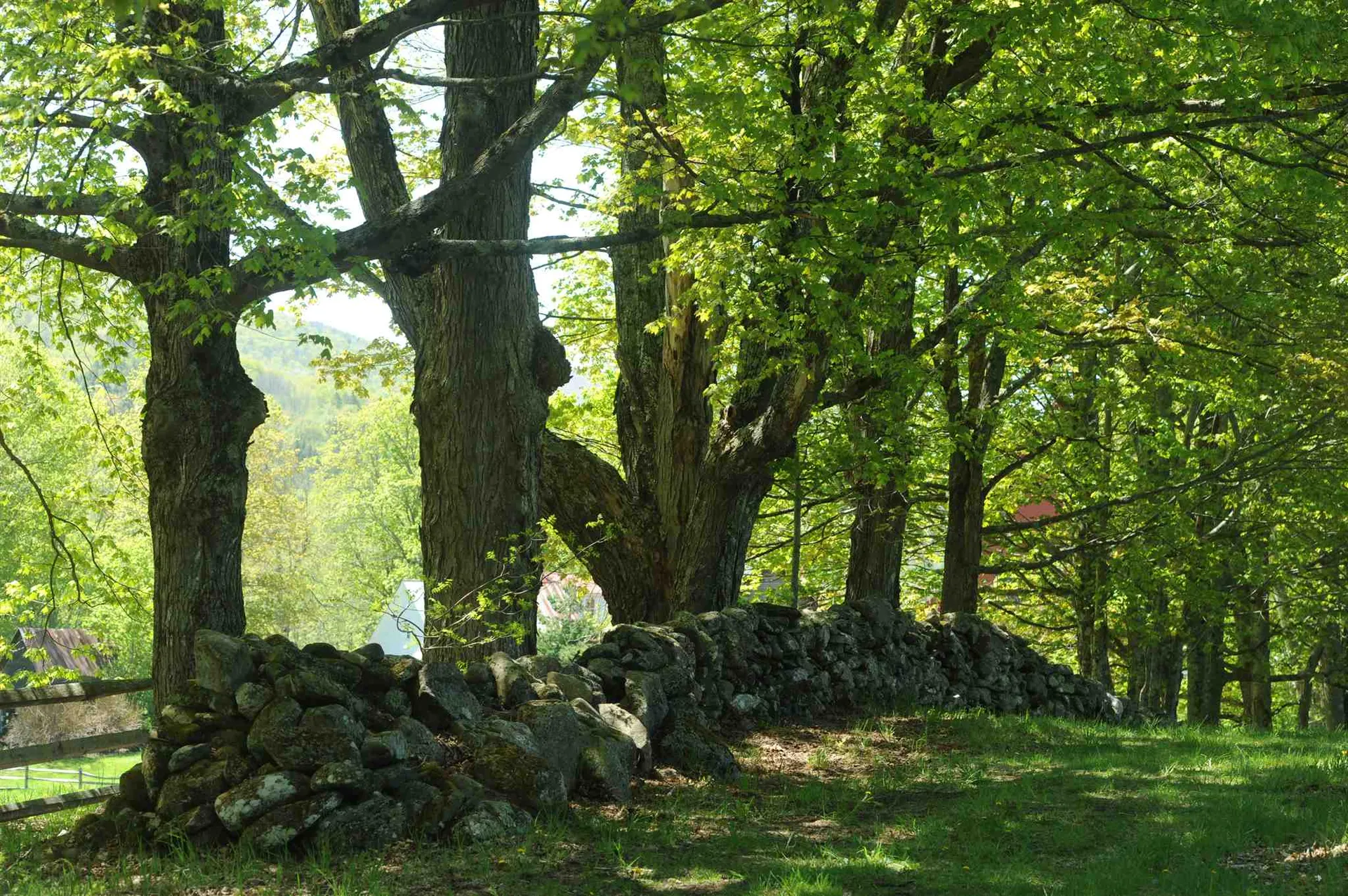 217 Echo Ledge Road Woodstock VT 05091