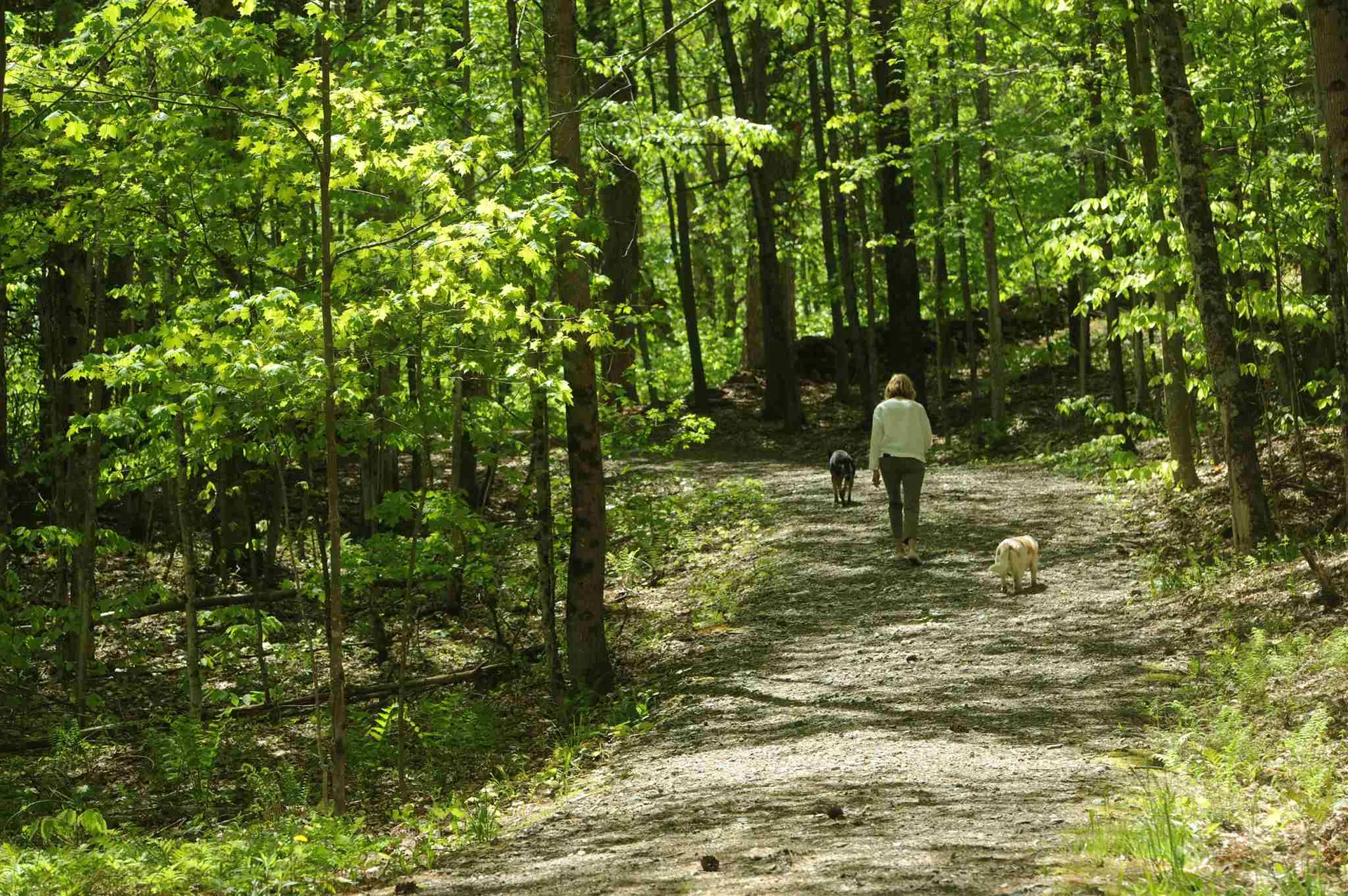 217 Echo Ledge Road Woodstock VT 05091