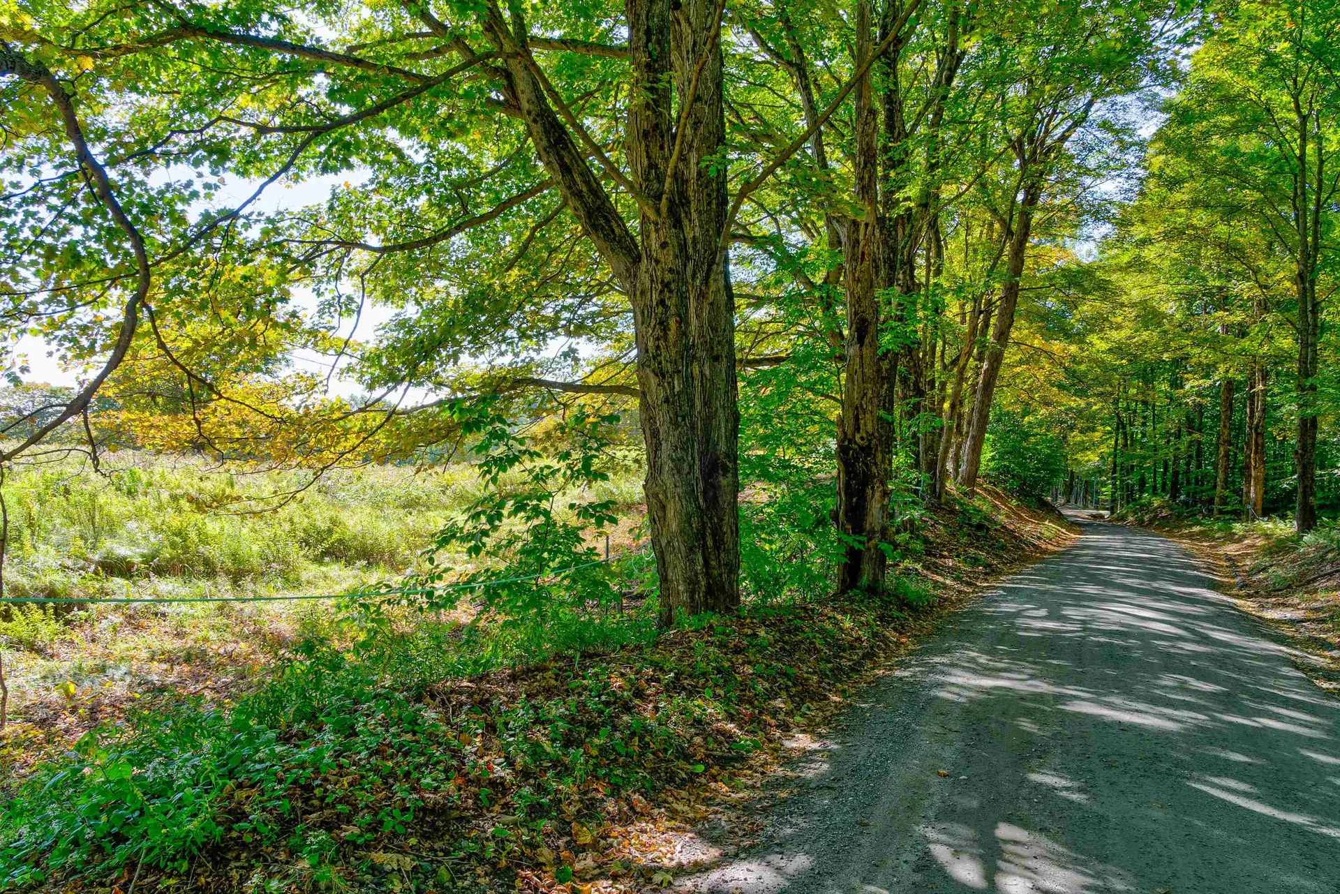 110 Advent Hill Road Hartland VT 05048