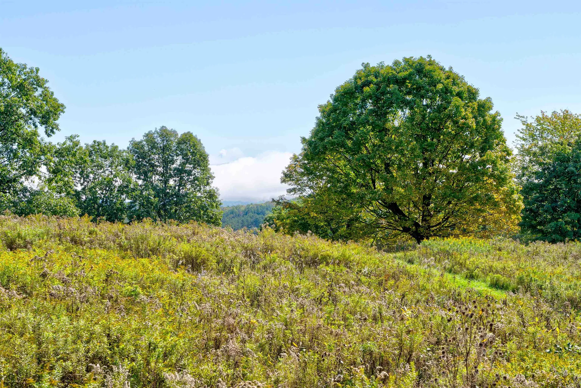 110 Advent Hill Road Hartland VT 05048