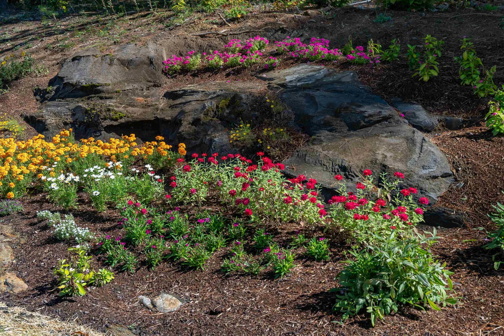 704 Austin Road Woodstock VT 05091