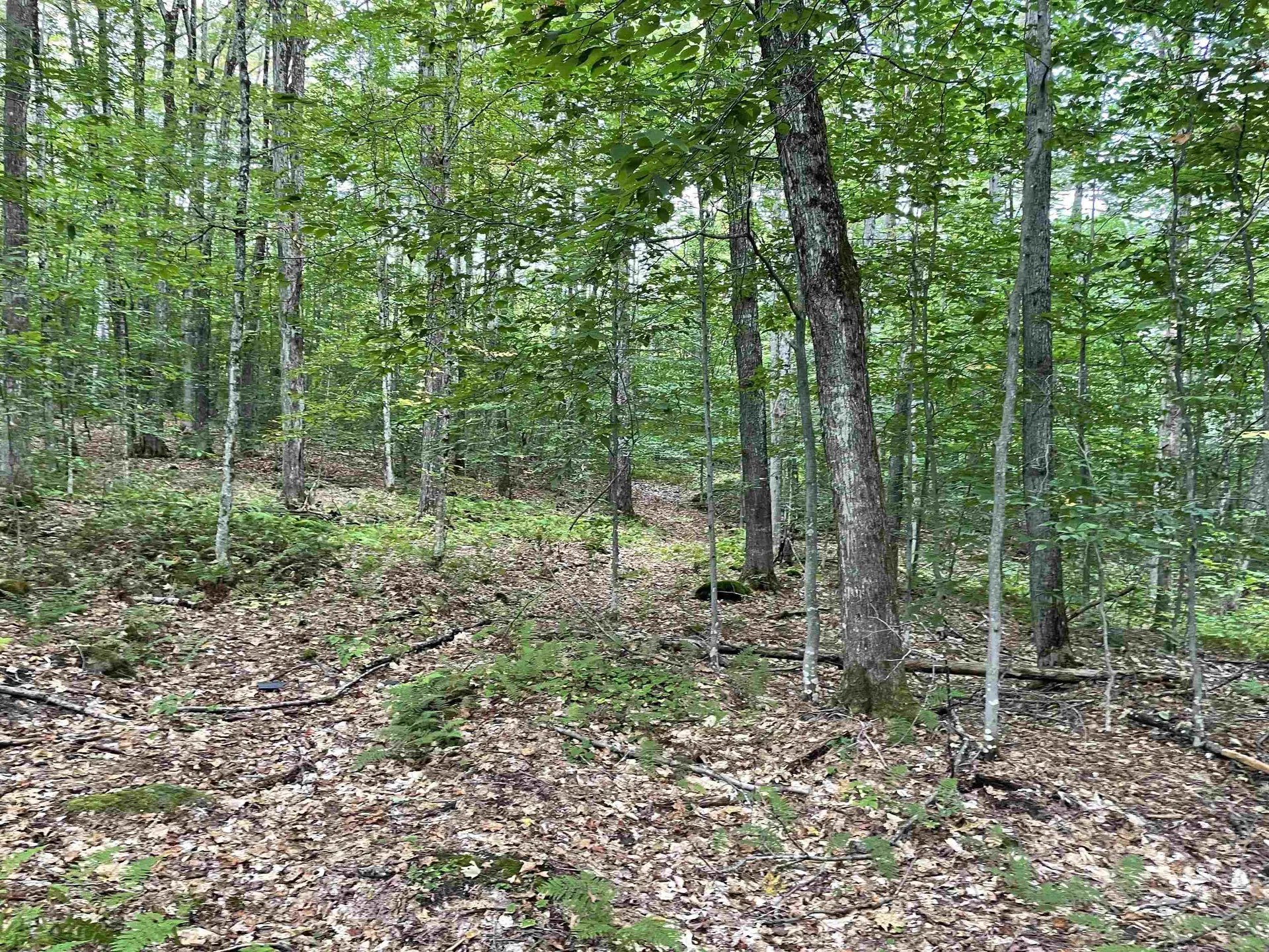 42 Emerson Road Topsham VT 05076