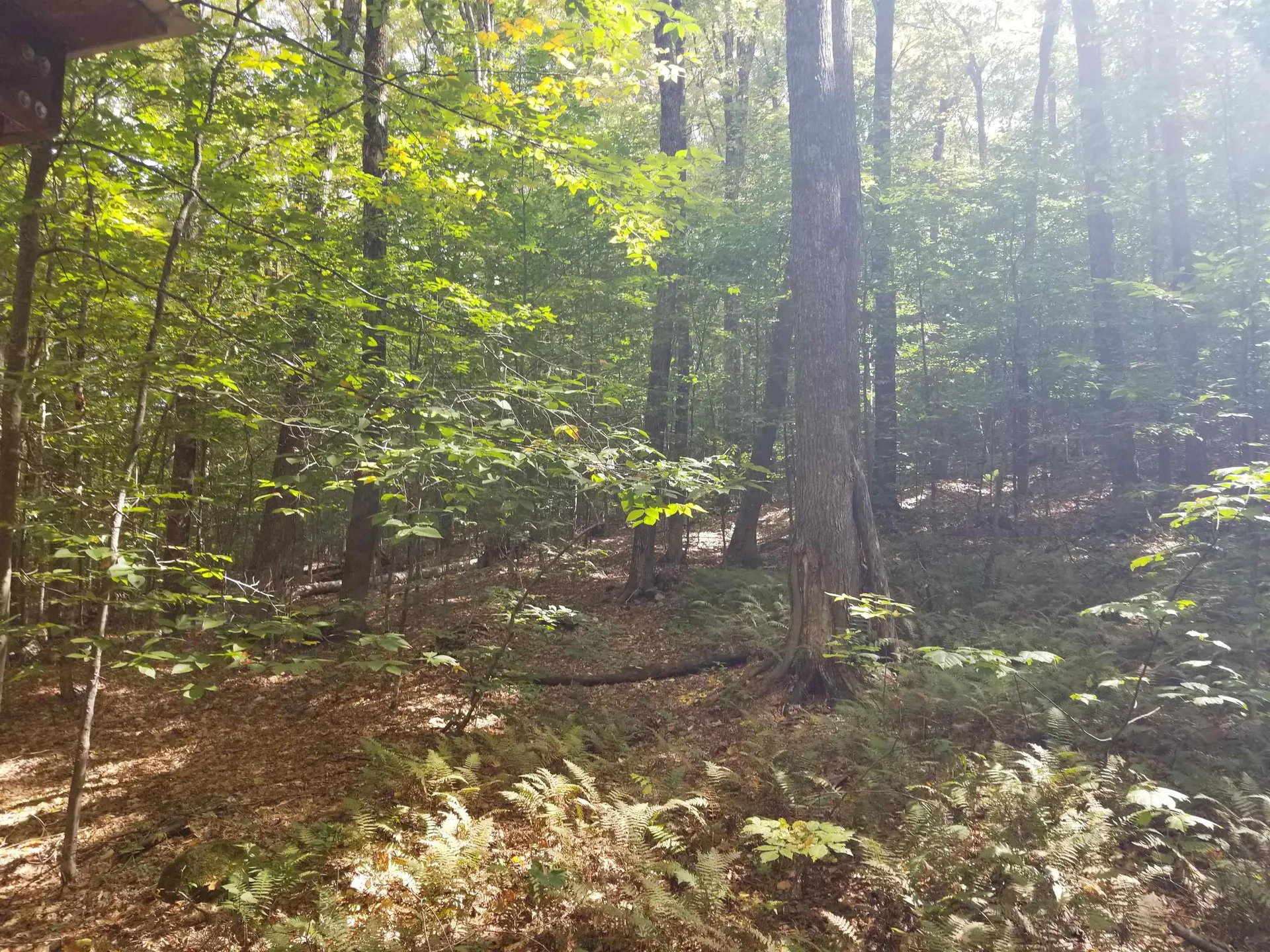 42 Emerson Road Topsham VT 05076