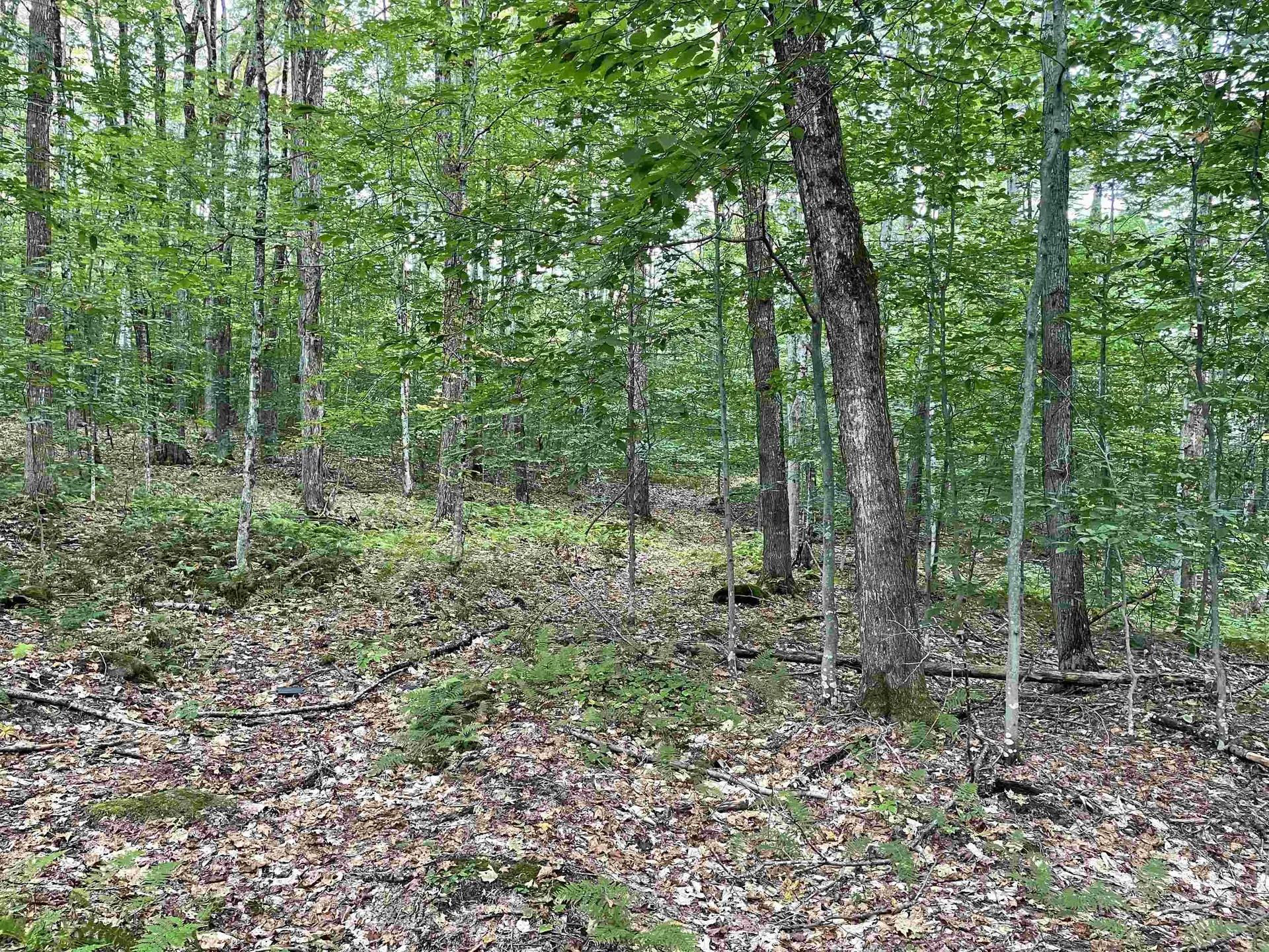 42 Emerson Road Topsham VT 05076