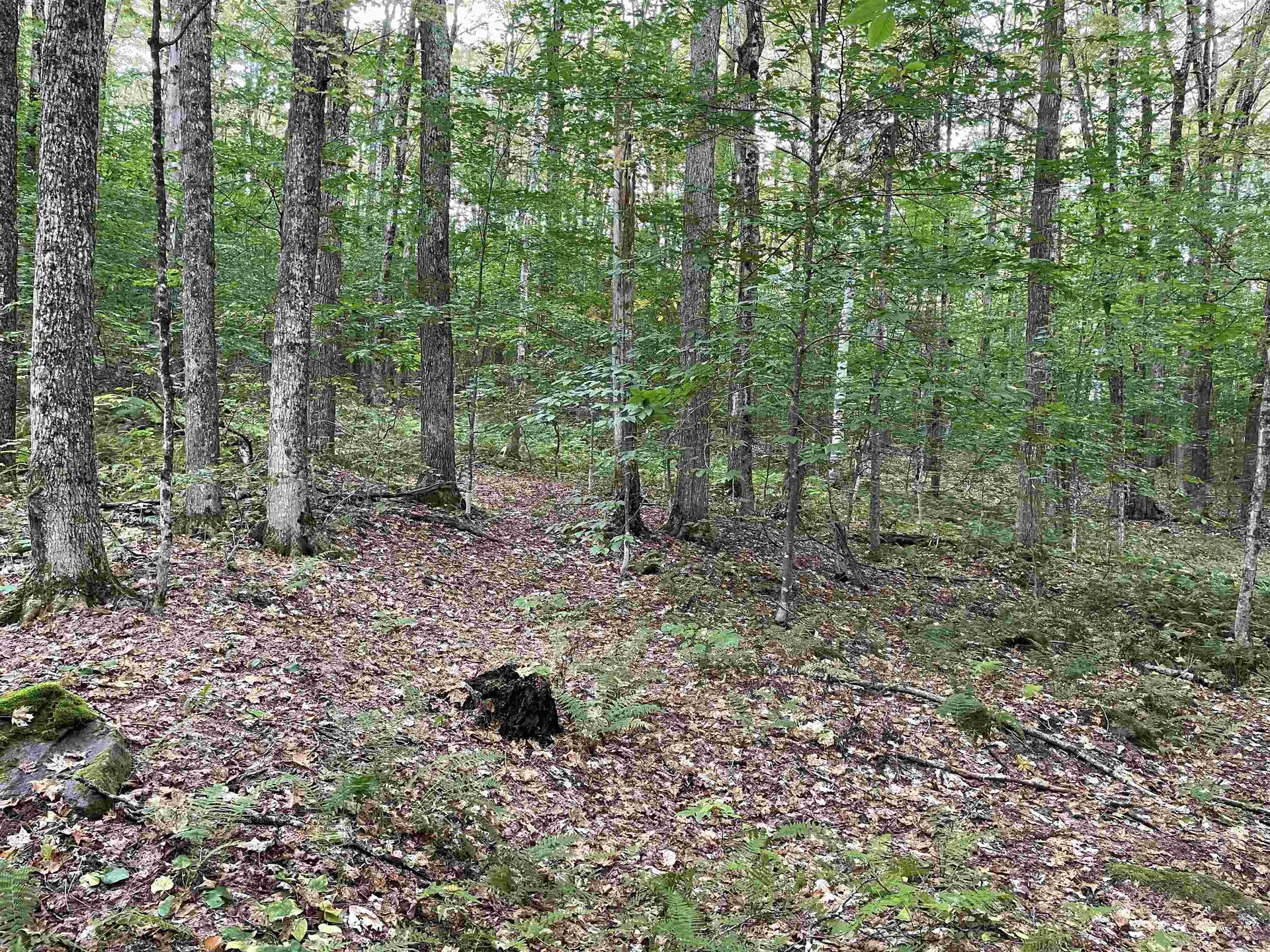42 Emerson Road Topsham VT 05076