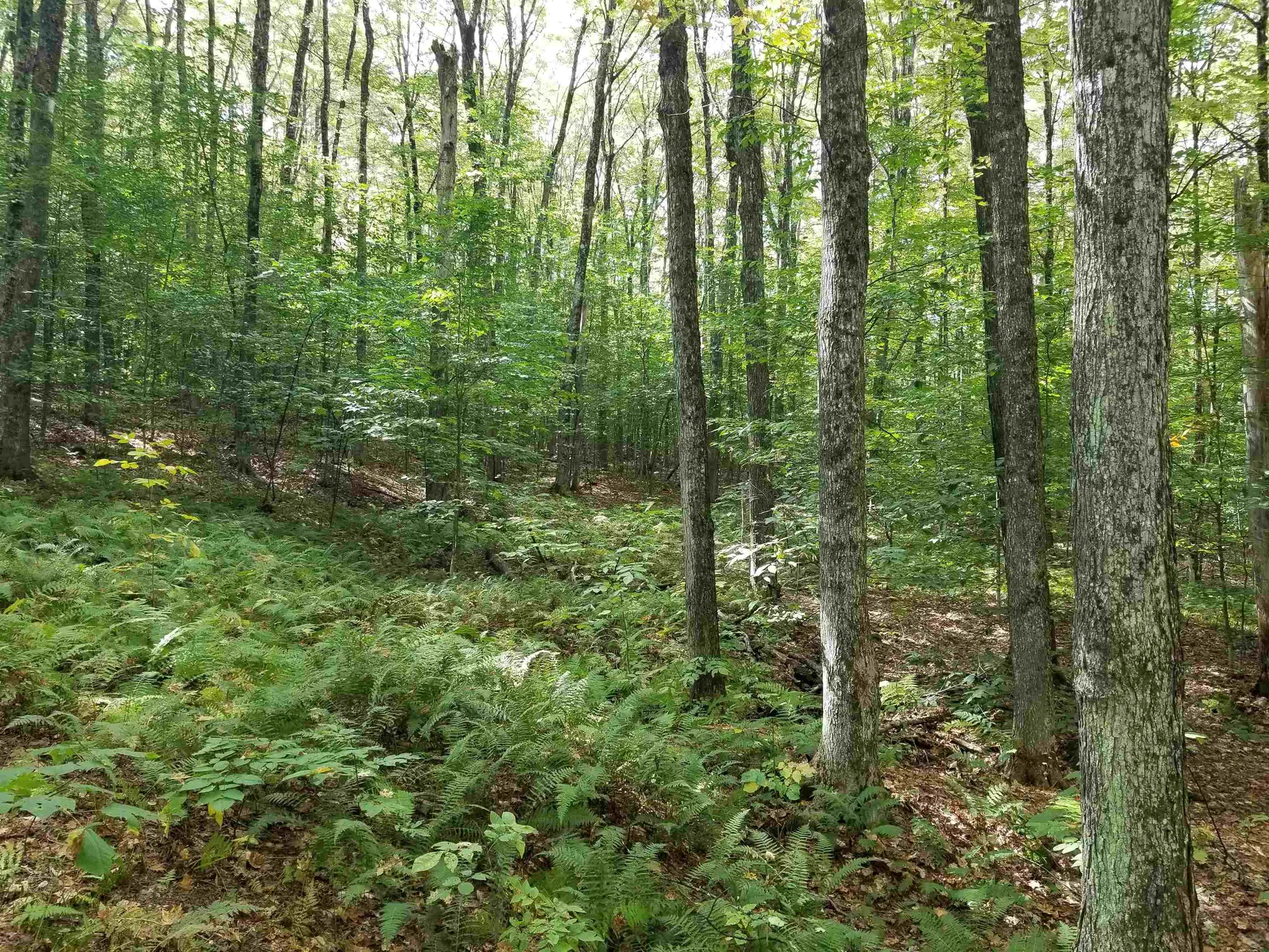 42 Emerson Road Topsham VT 05076