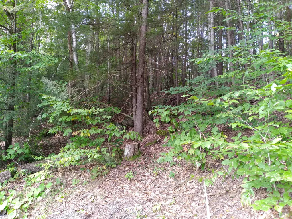 0 Sands Of Time Road Canaan NH 03741