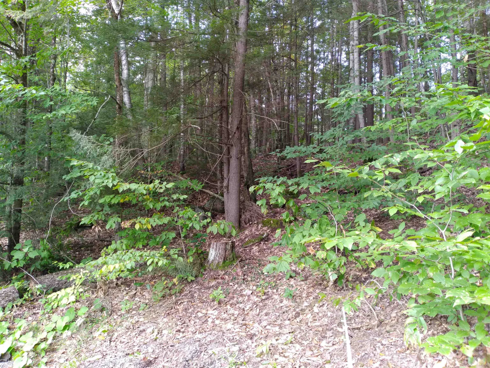 0 Sands Of Time Road Canaan NH 03741